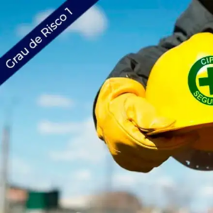 CIPA (grau de risco 1)